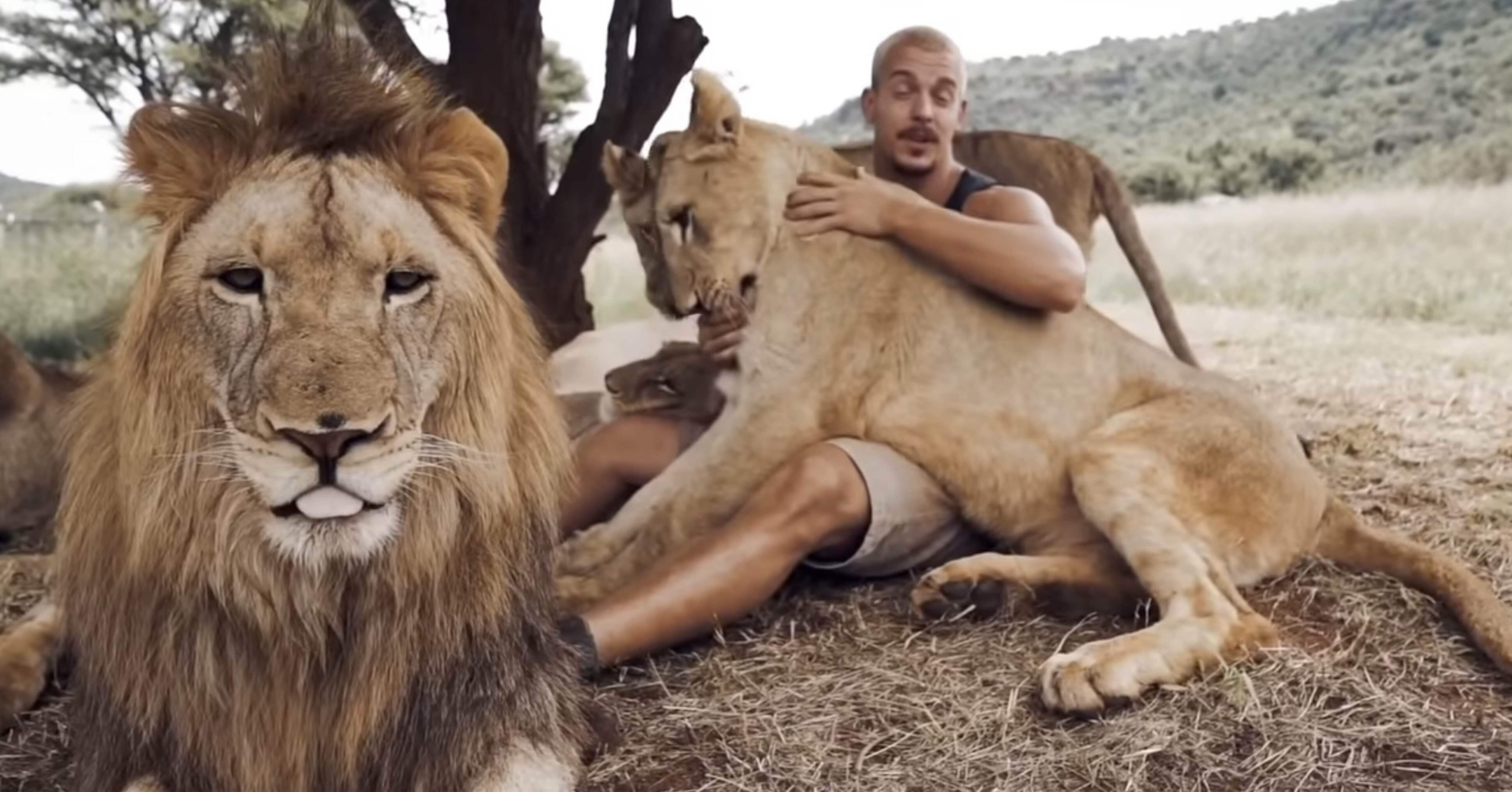 e52d88c8041b2180076412a1fb26c3