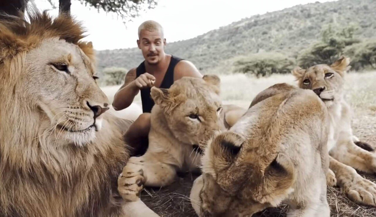 ライオンと眠る男 ノリノリ Note ライオンと眠る男 ノリノリ Note