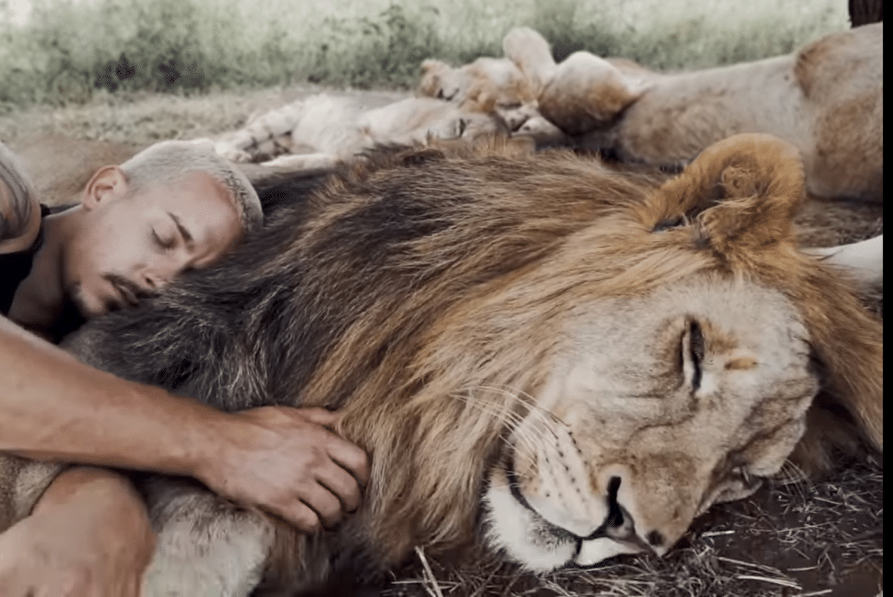 ライオンと眠る男 ノリノリ Note ライオンと眠る男 ノリノリ Note