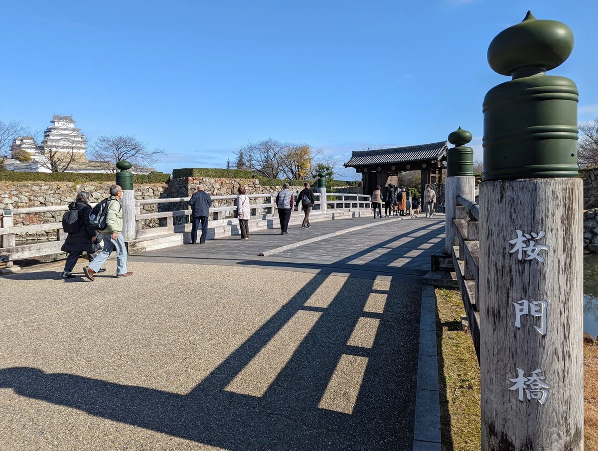 画像11