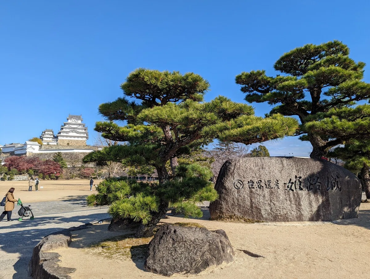 画像13