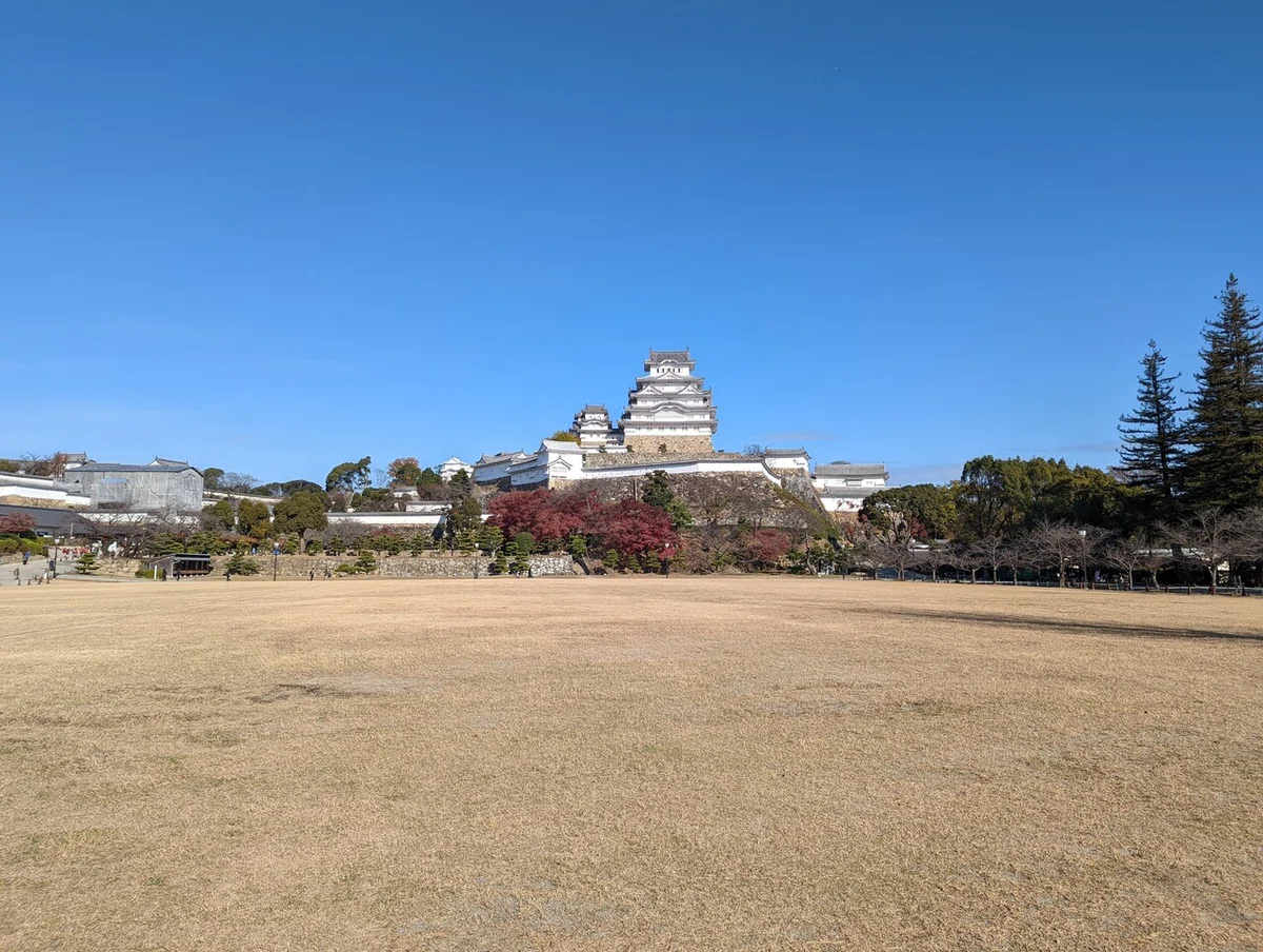画像14