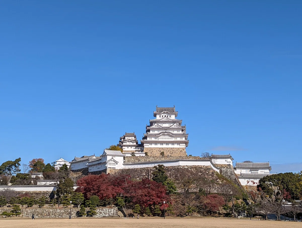 画像16