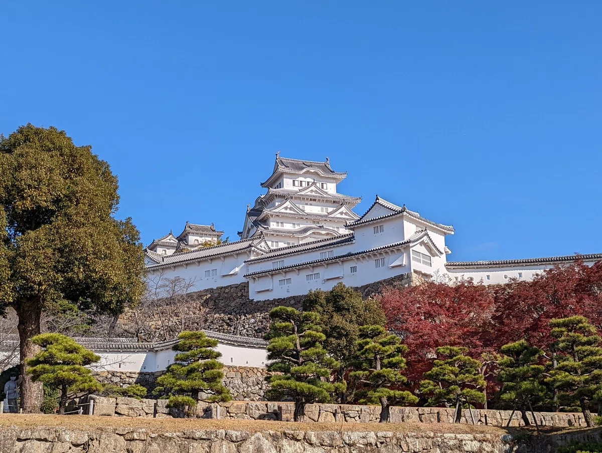 画像17