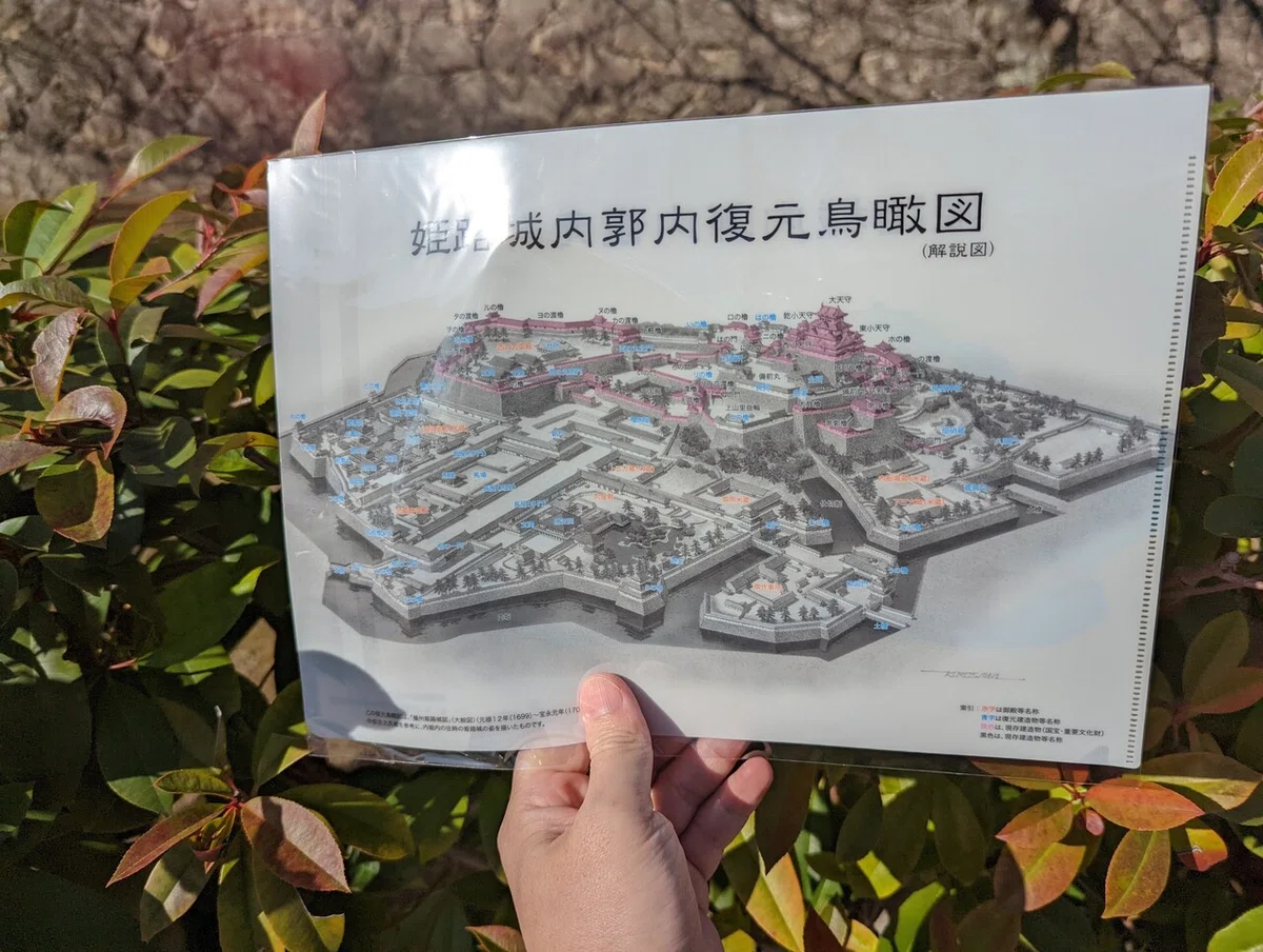画像21