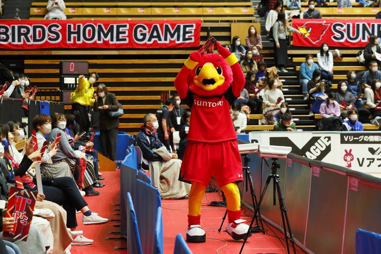 Vリーグ サントリーサンバーズ 支給ジャージパンツ 即日発送 - ウェア Vリーグ サントリーサンバーズ 支給ジャージパンツ 即日発送 - ウェア