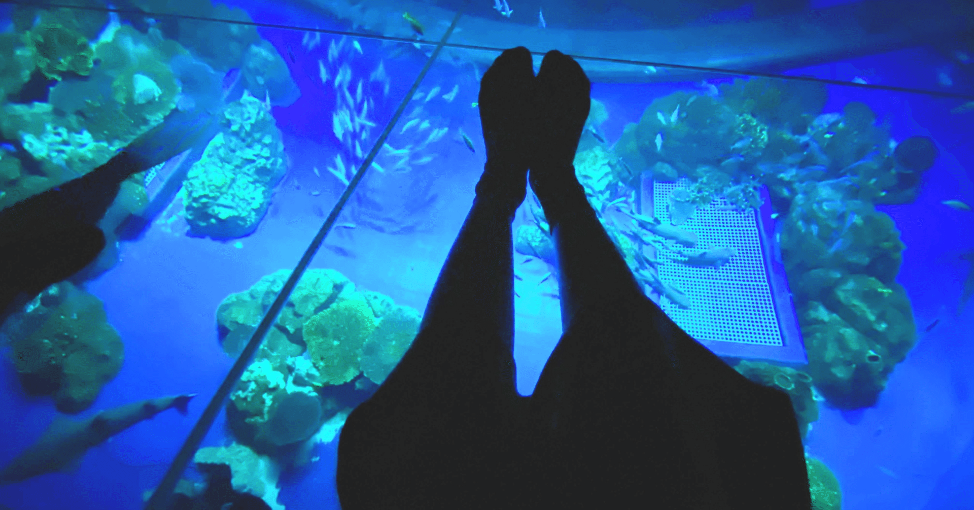 Tech体験 Dmmかりゆし水族館が今までにない新しいカタチの水族館 だった 大人から子供まで長時間楽しめる ラフなひとこと It企業ラフアンドレディの公式ブログ Note