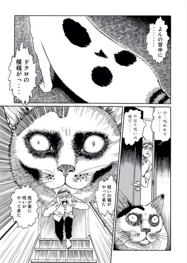伊藤潤二の猫日記 よん&むー ~よーしよしよしよし~|すーさん 伊藤潤二の猫日記 よん&むー ~よーしよしよしよし~|すーさん