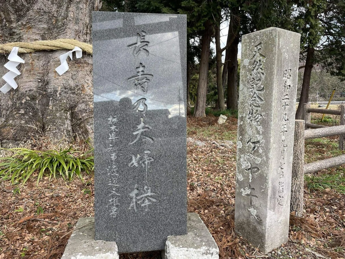 画像127
