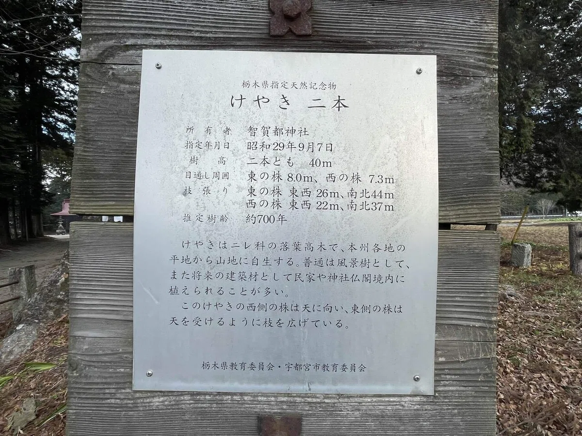 画像129