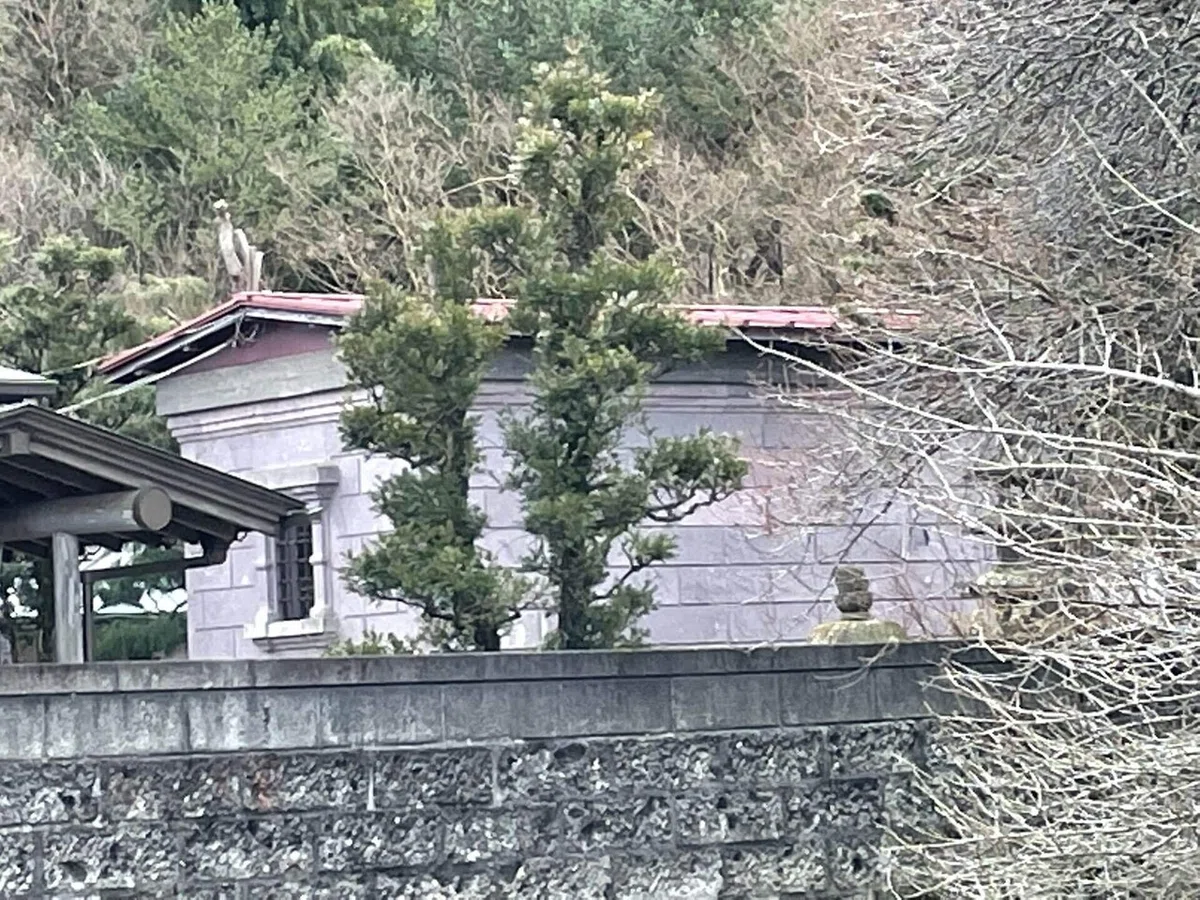 画像137