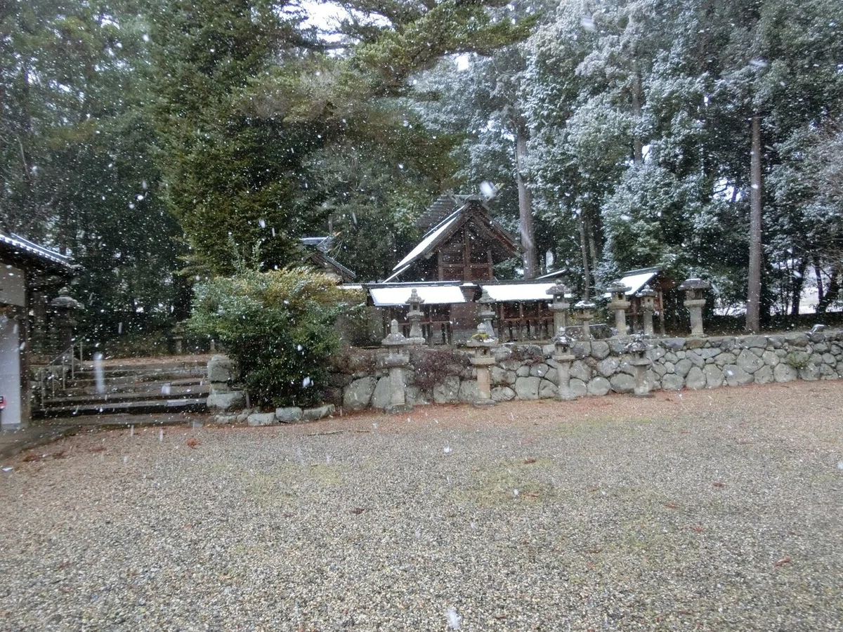 画像5