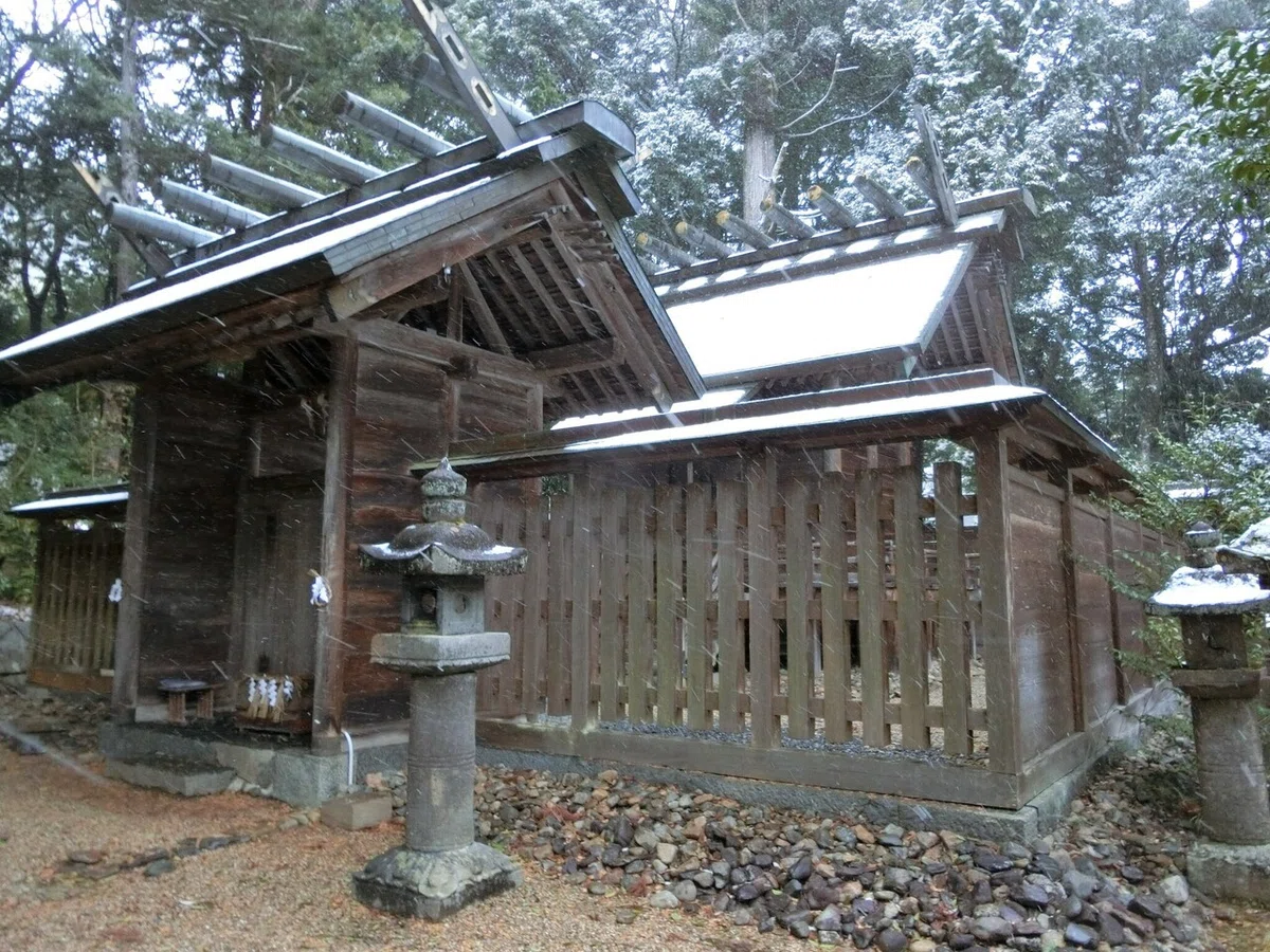 画像7