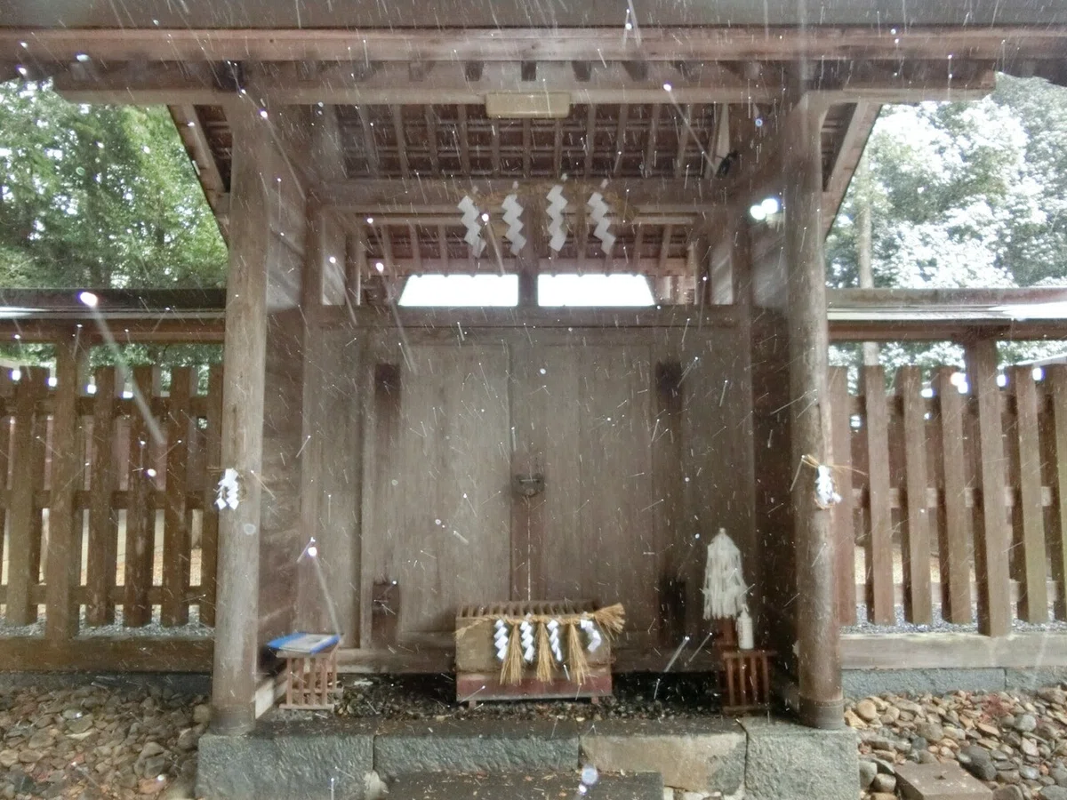 画像8