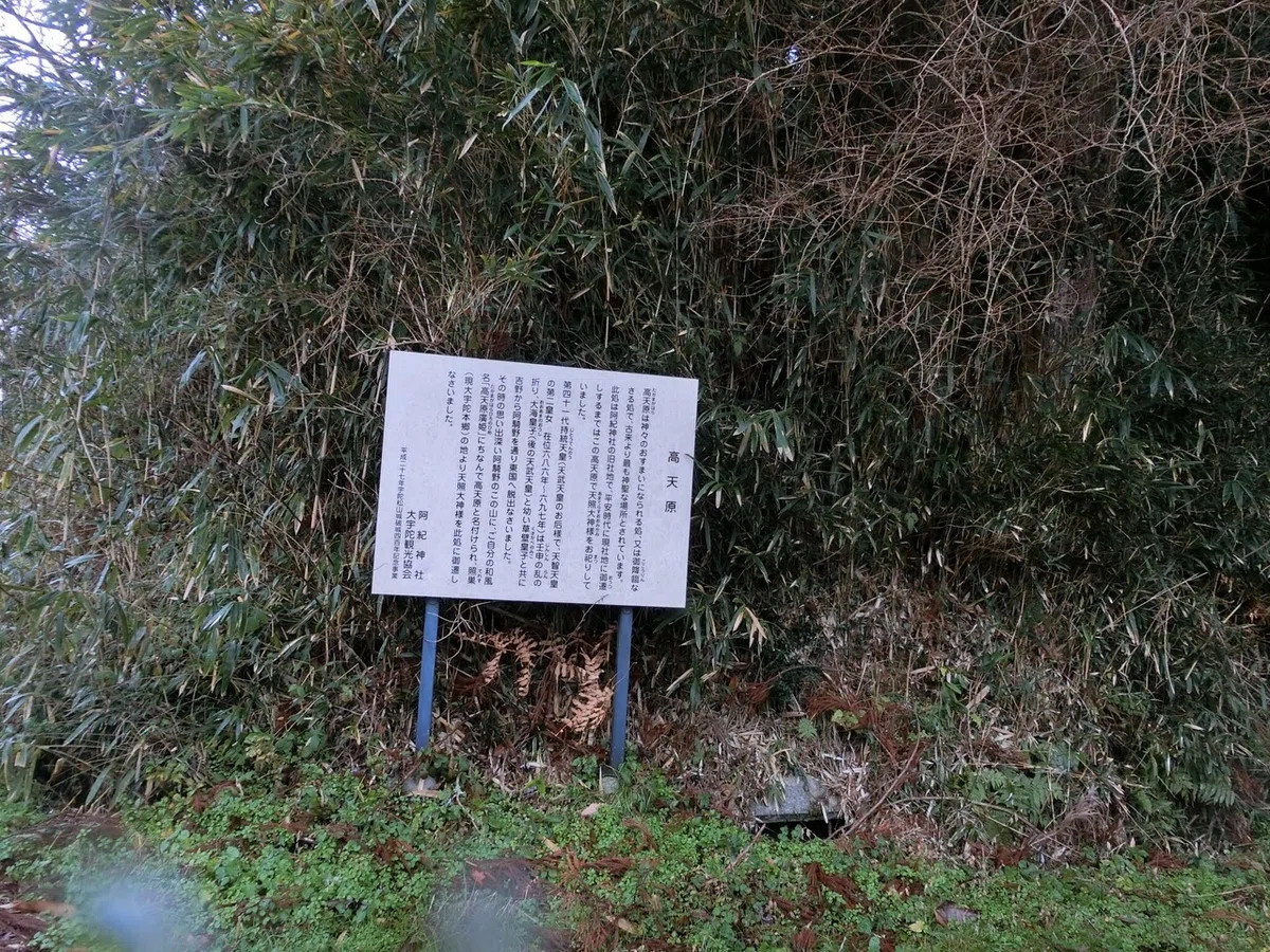 画像12