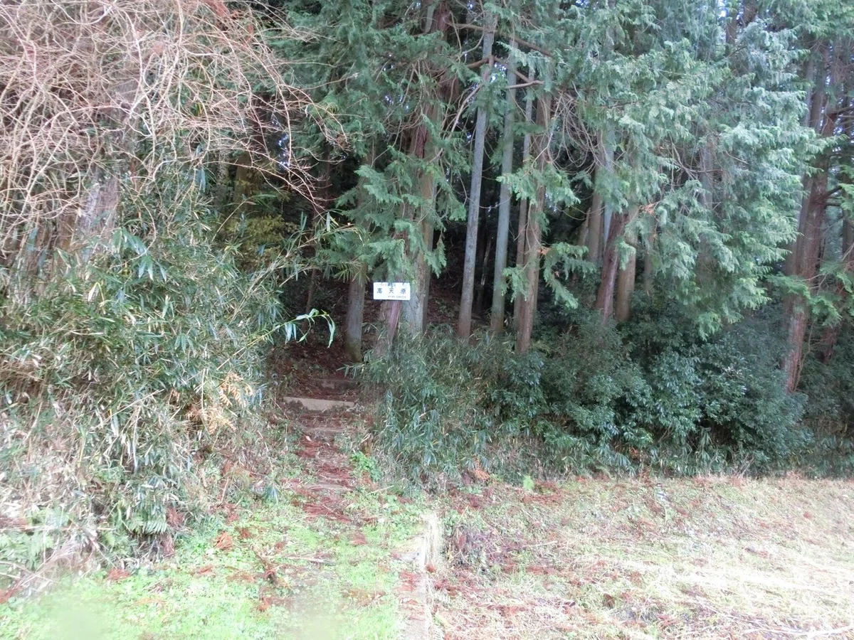 画像13