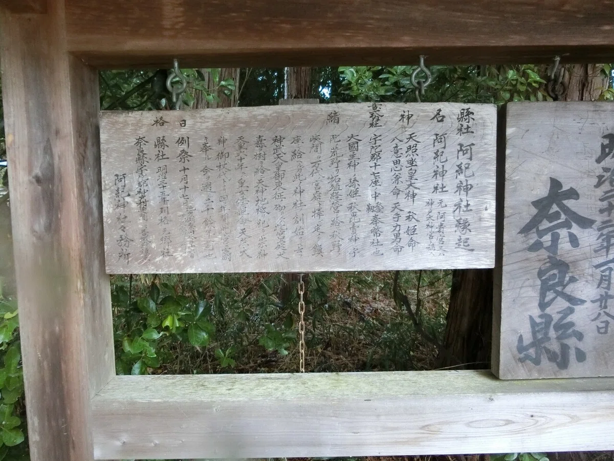 画像16