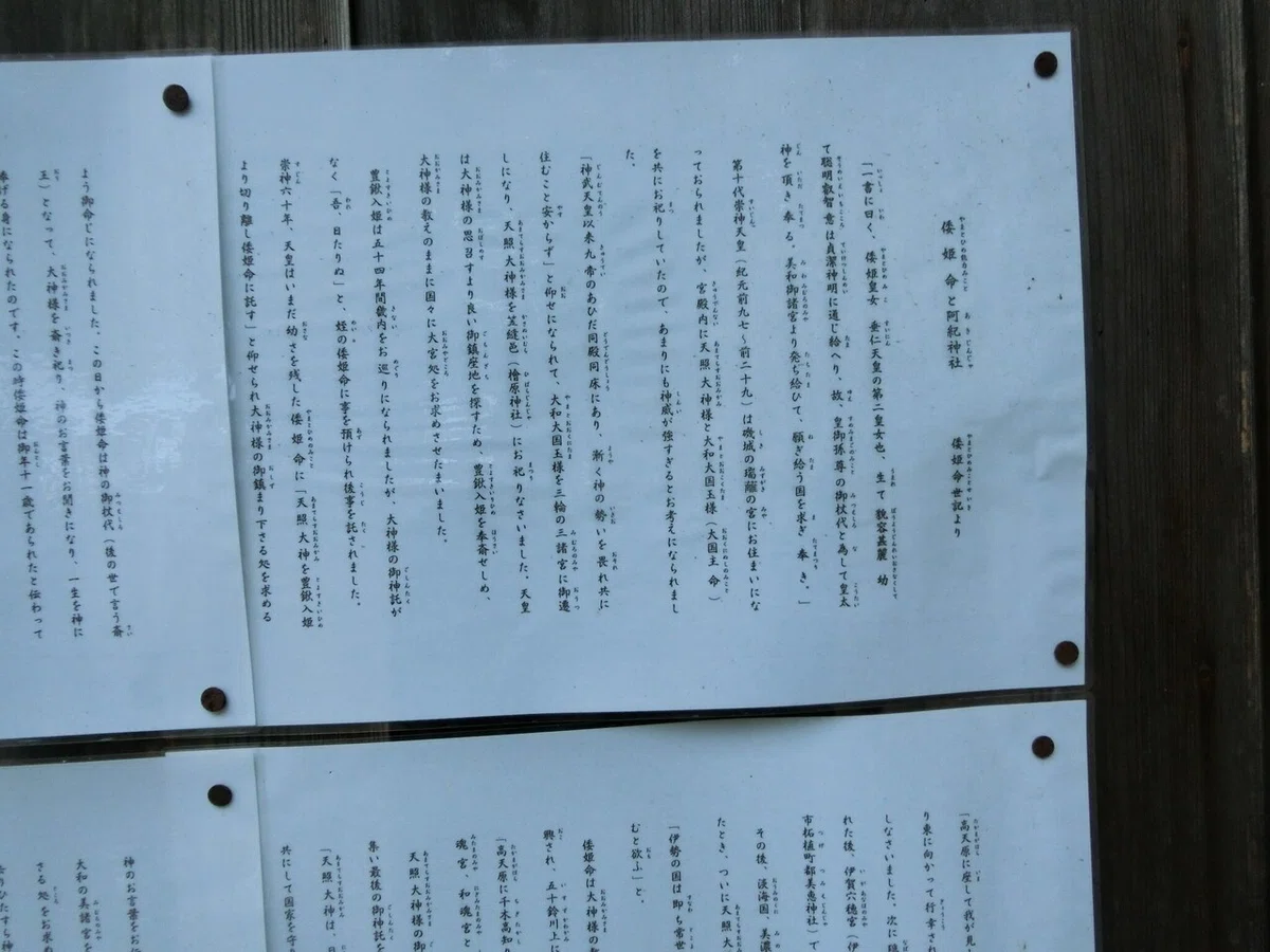 画像17