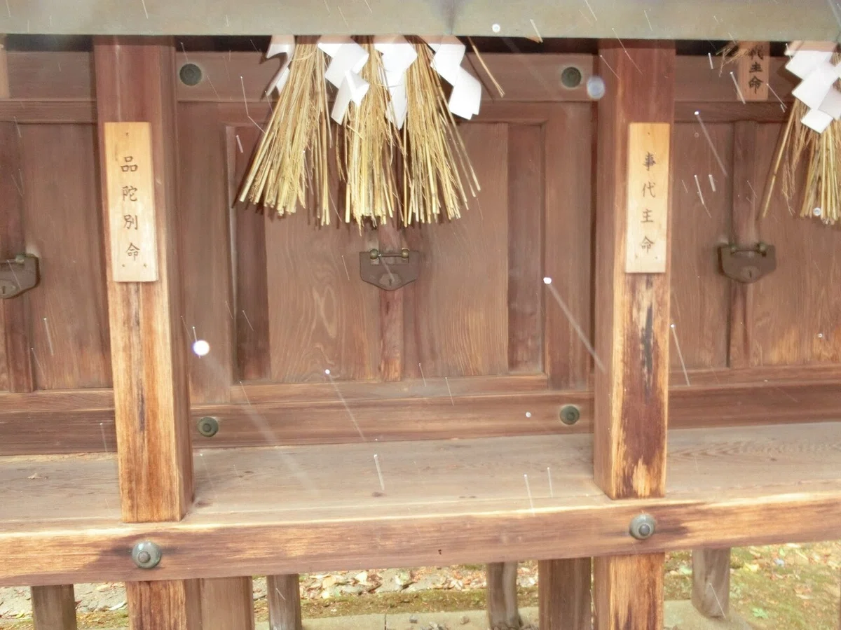 画像24