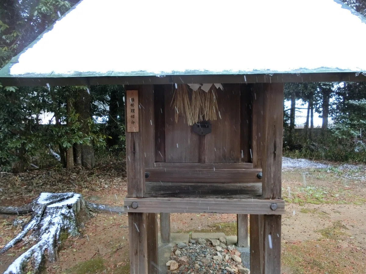 画像25