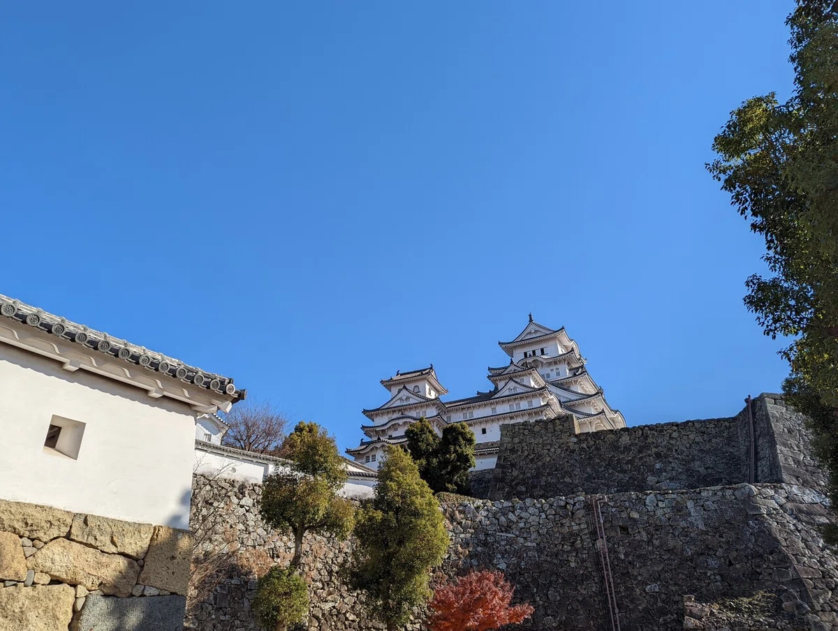 画像1