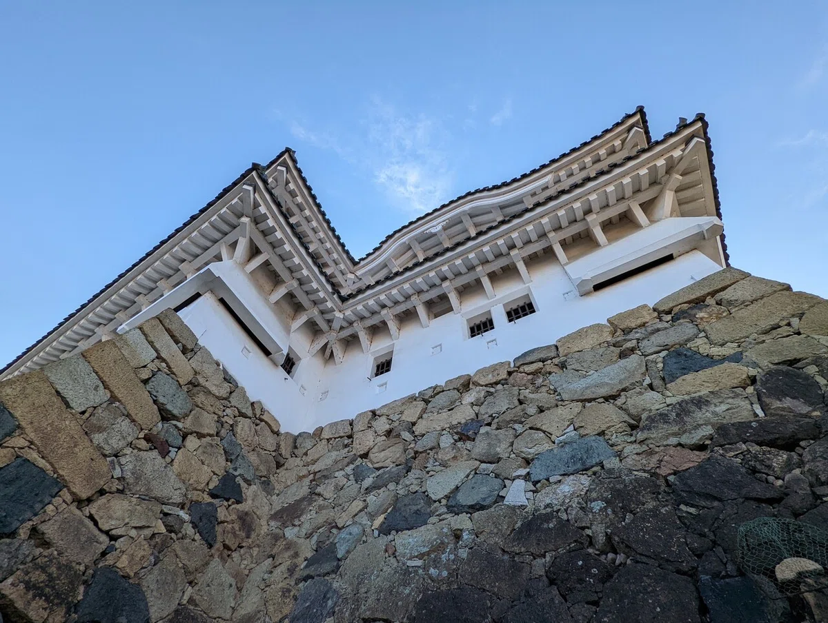 画像5