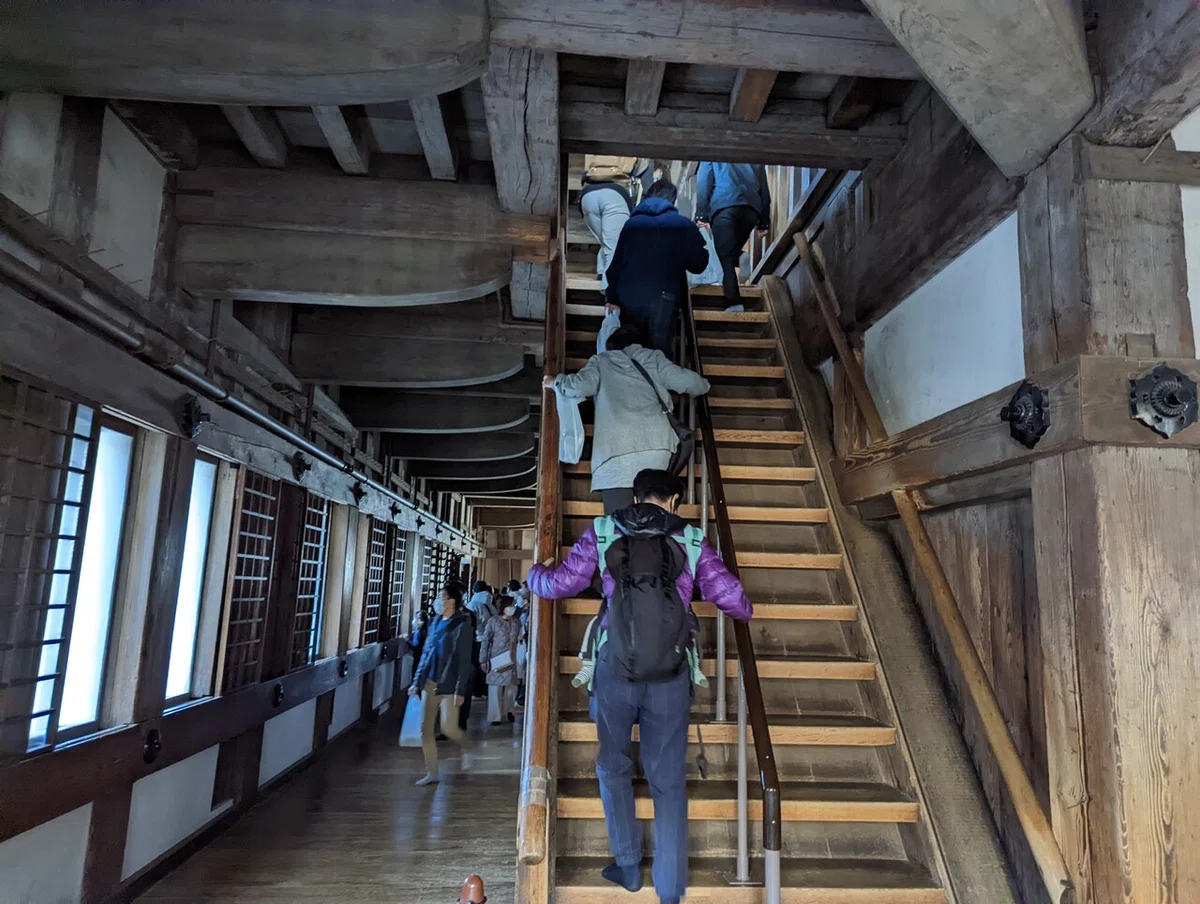 画像7
