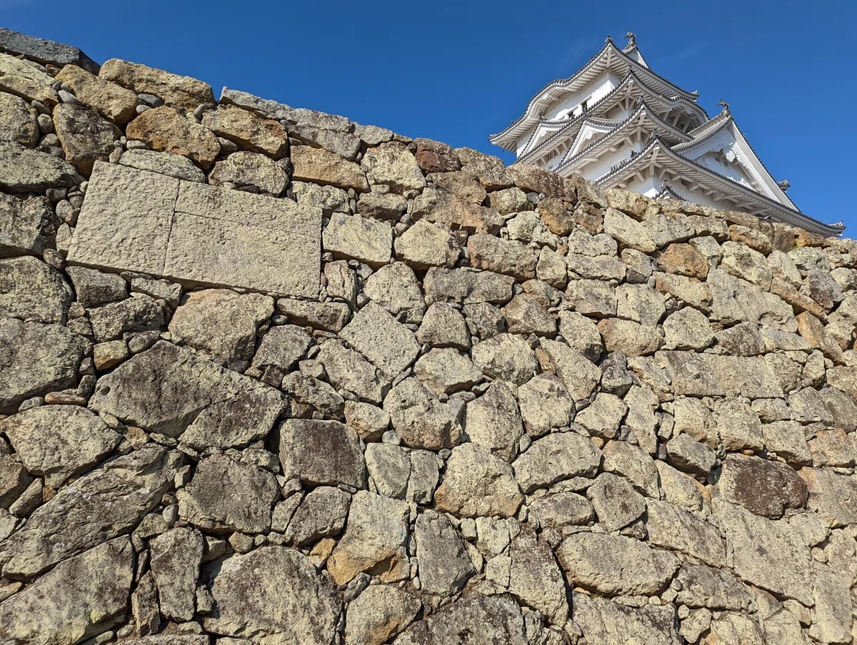 画像22