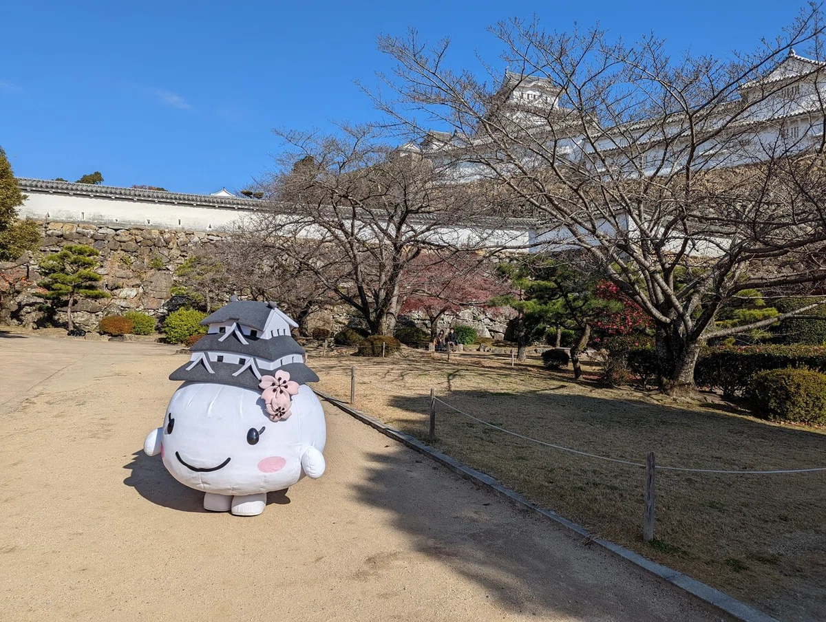 画像30