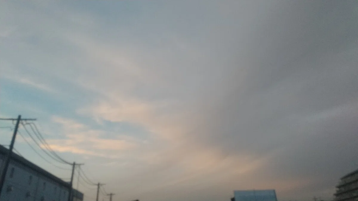 画像15