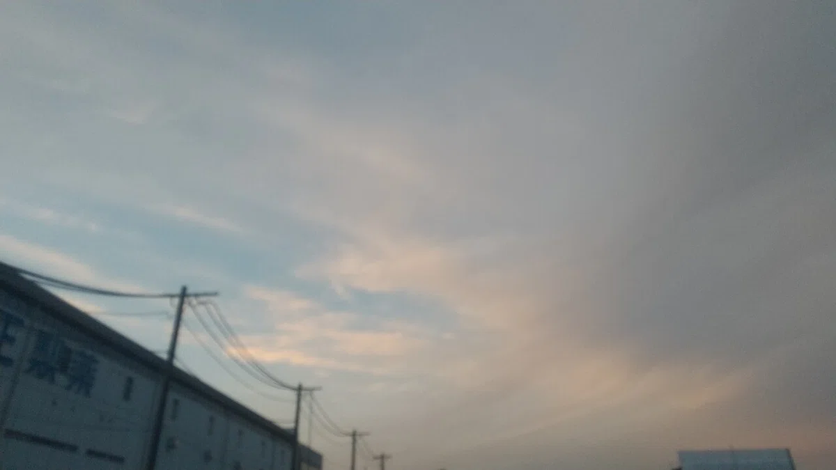 画像16