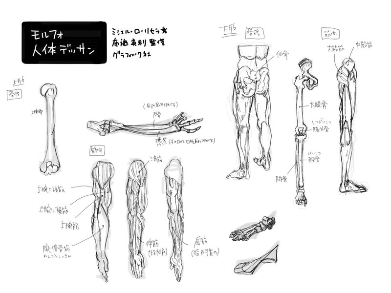 読書絵メモ モルフォ人体デッサン ちびっと Note 読書絵メモ モルフォ人体デッサン ちびっと Note