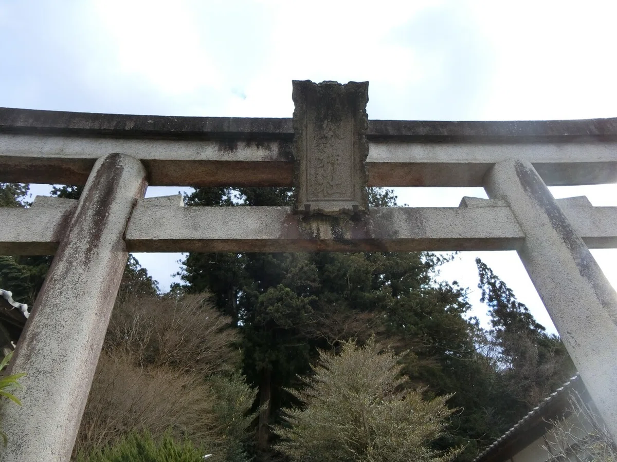 画像3