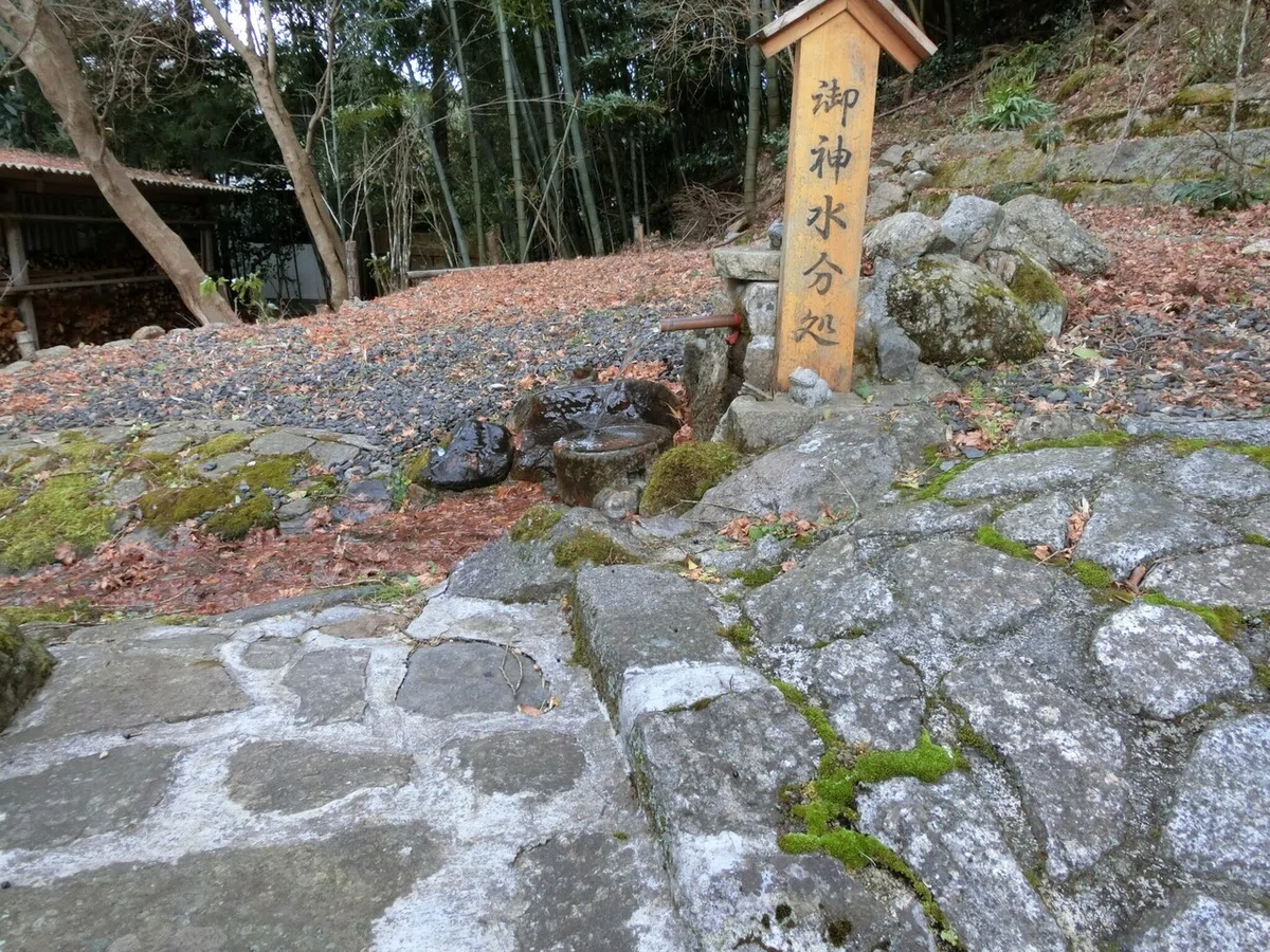 画像7