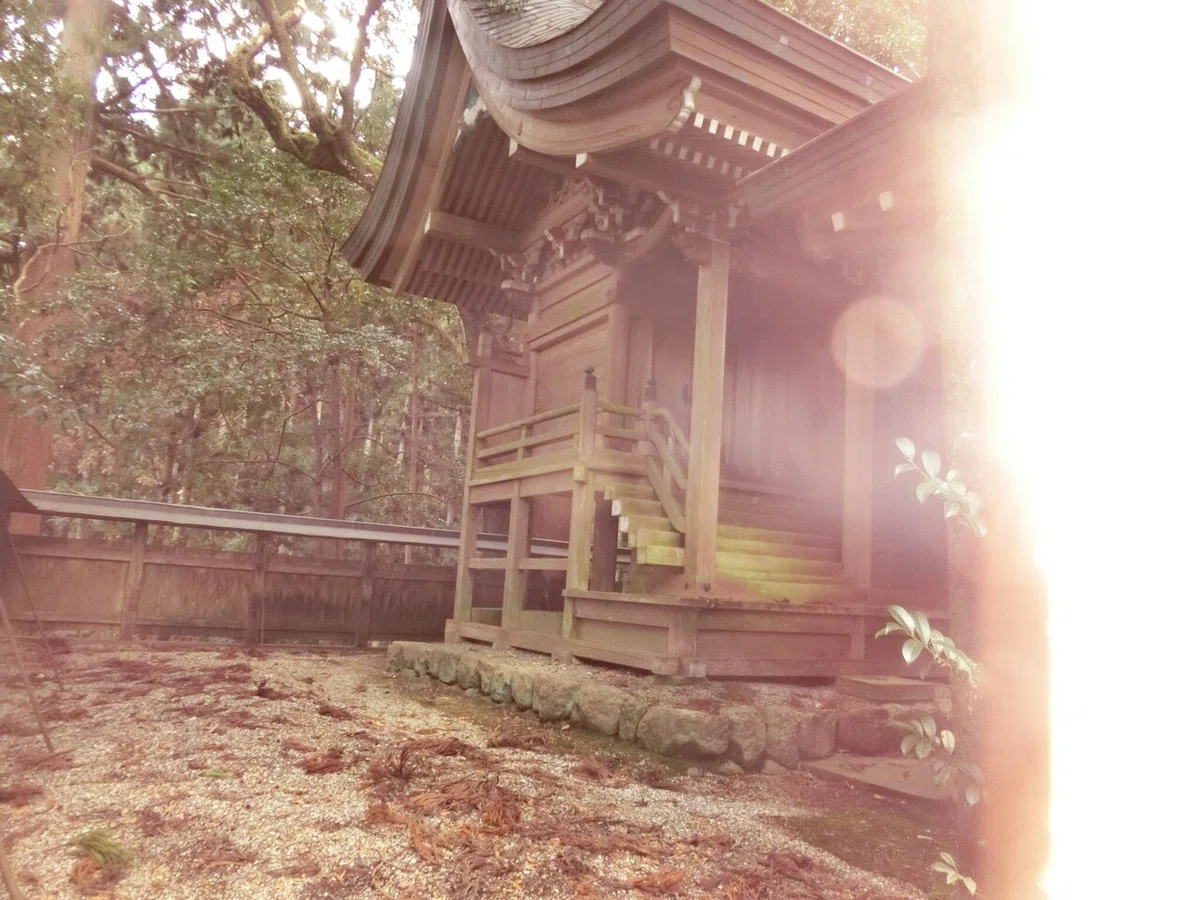 画像12