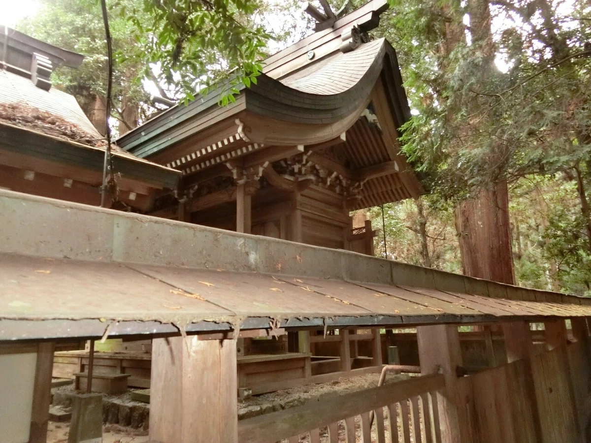 画像14