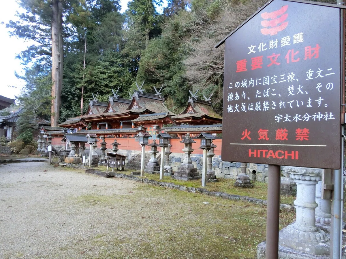 画像15