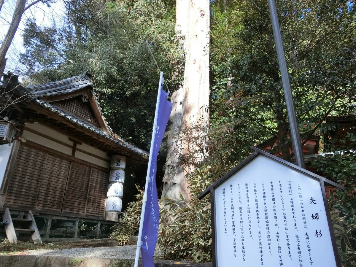 画像17