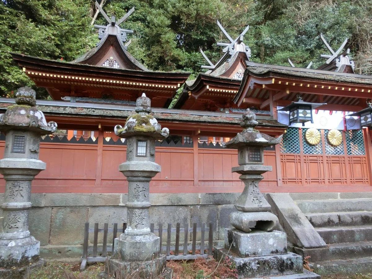 画像19