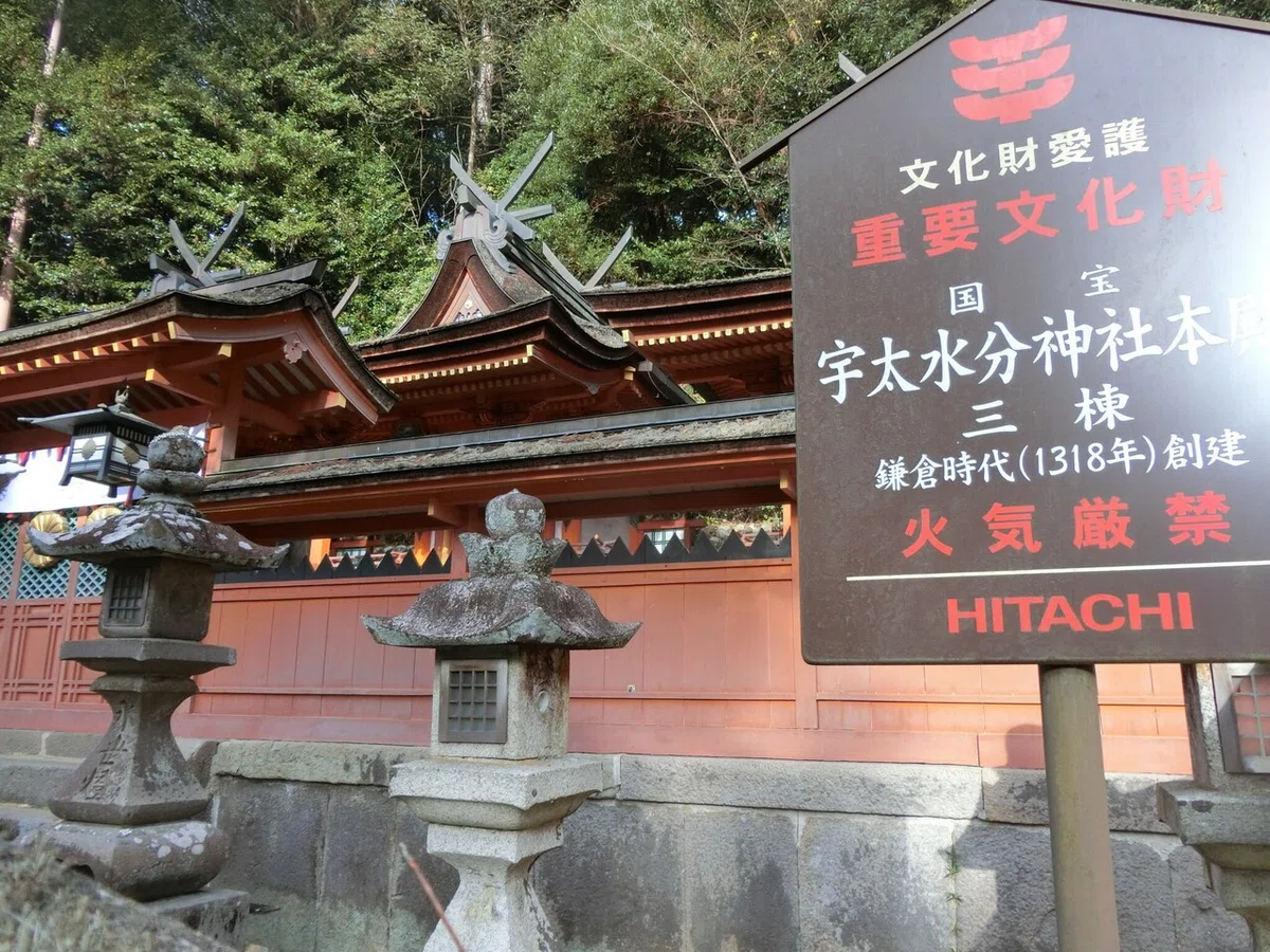 画像21