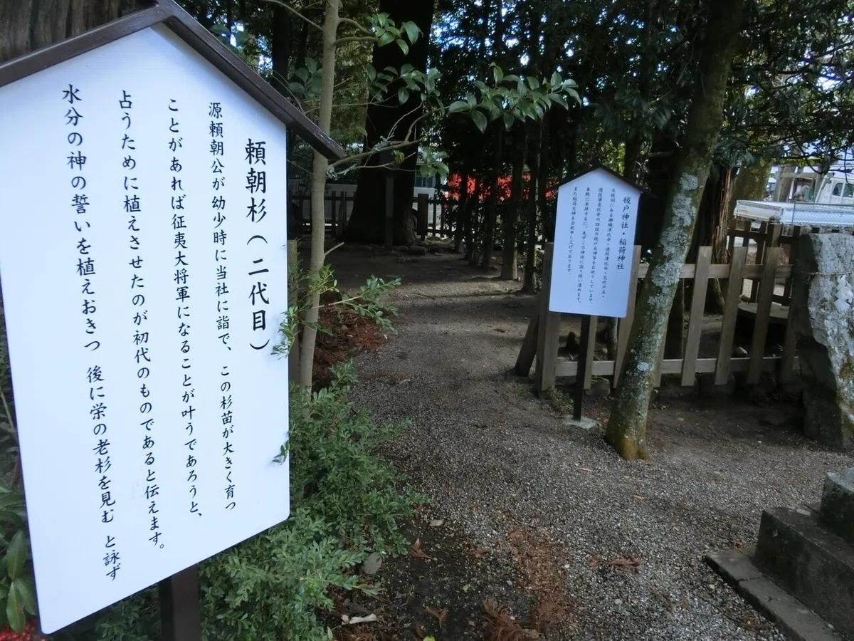 画像26