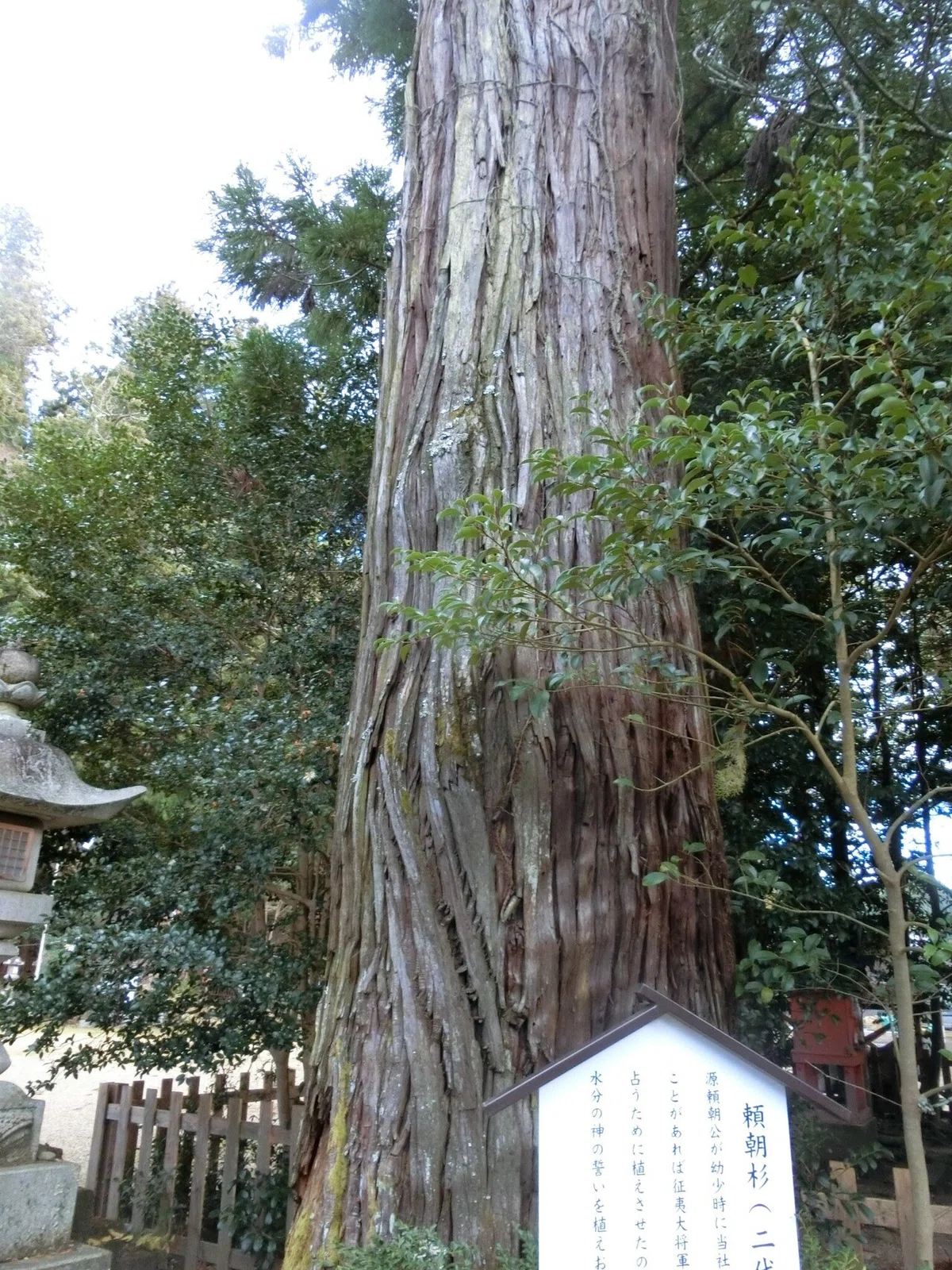 画像28