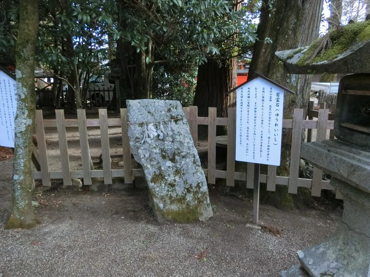画像29