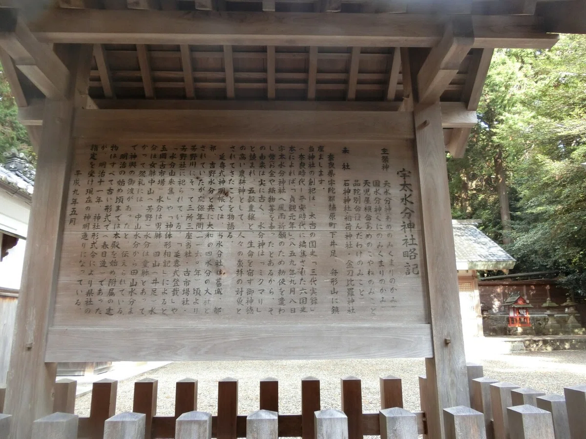 画像36