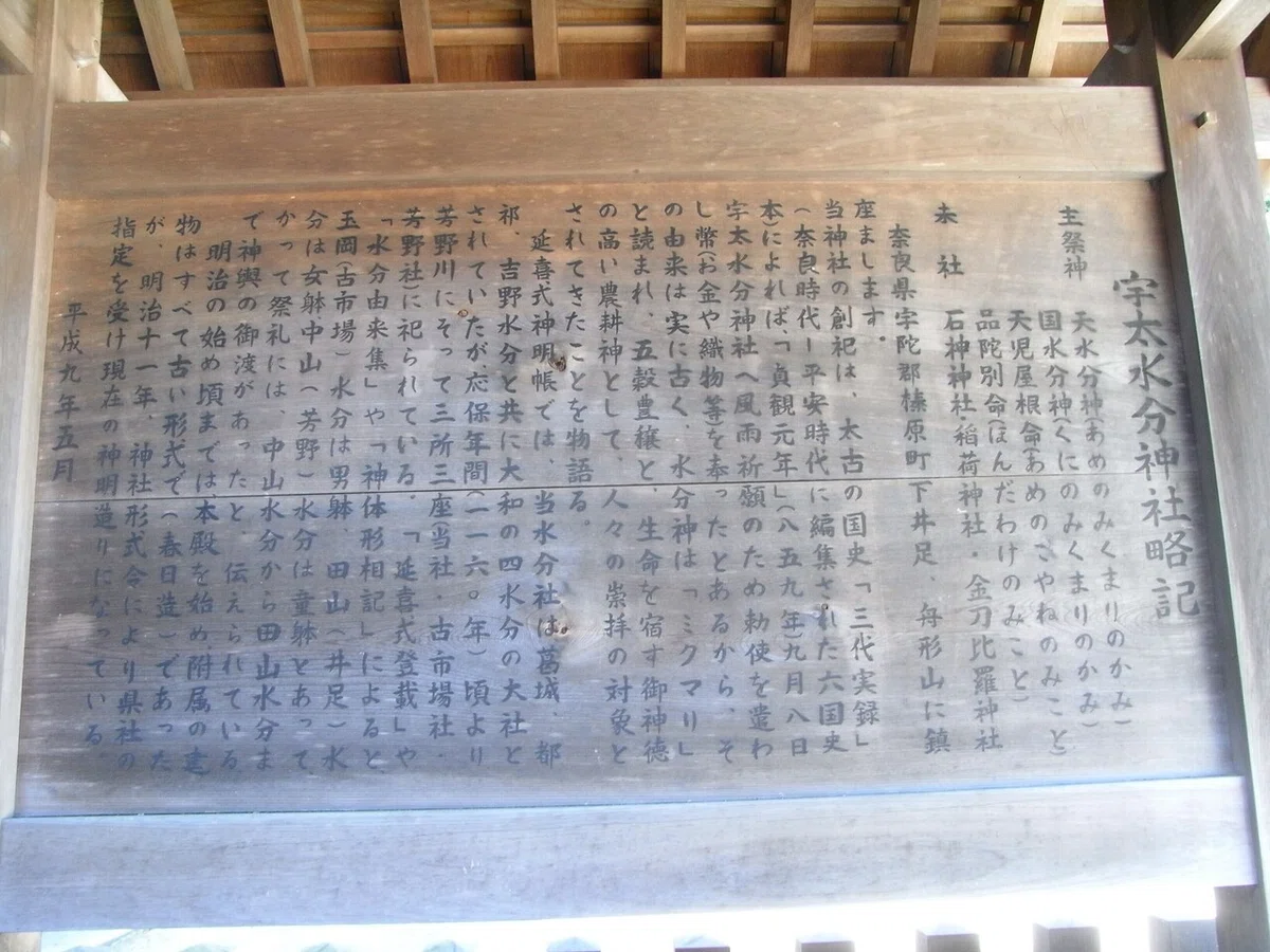 画像54