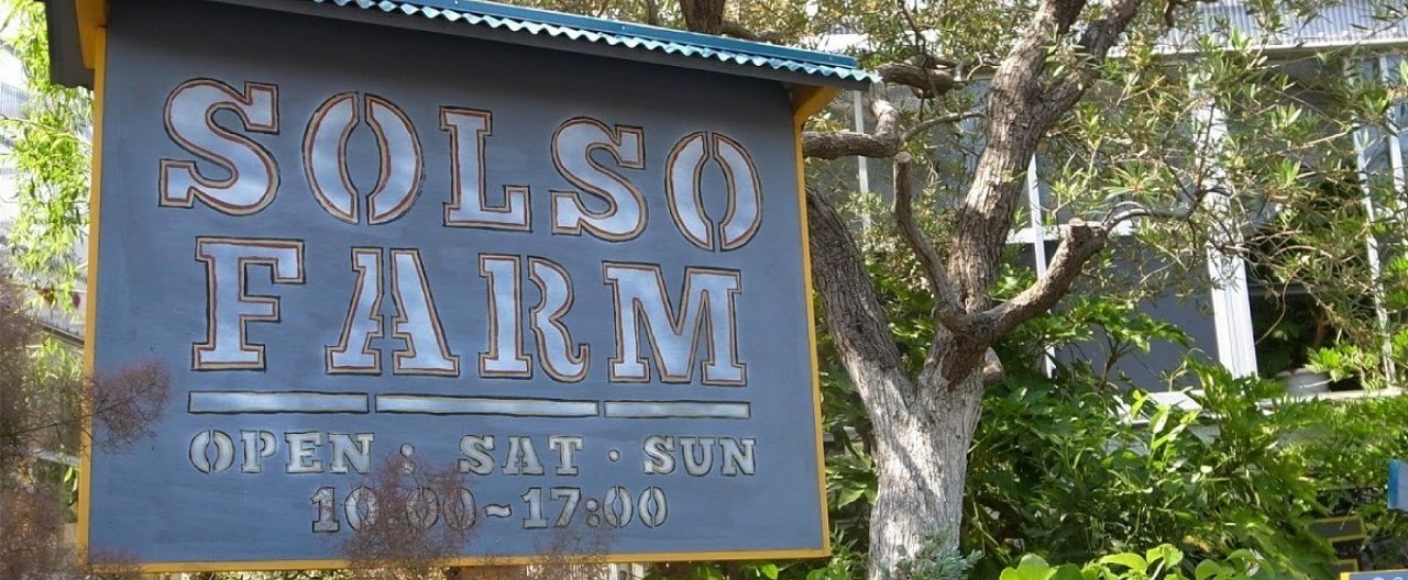 子連れの週末 Solso Farm Macoto Minami Note 子連れの週末 Solso Farm Macoto Minami Note