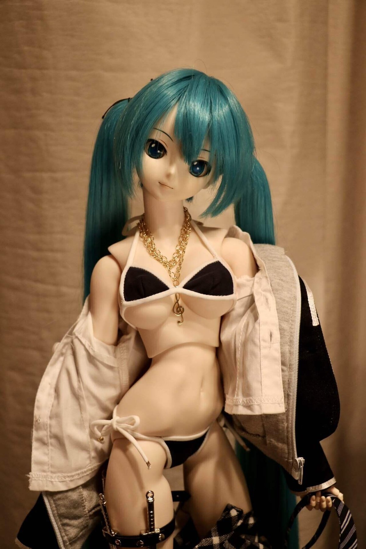 ドルフィードリーム　エロ DDで生み出す理想の初音ミク｜Pleiades