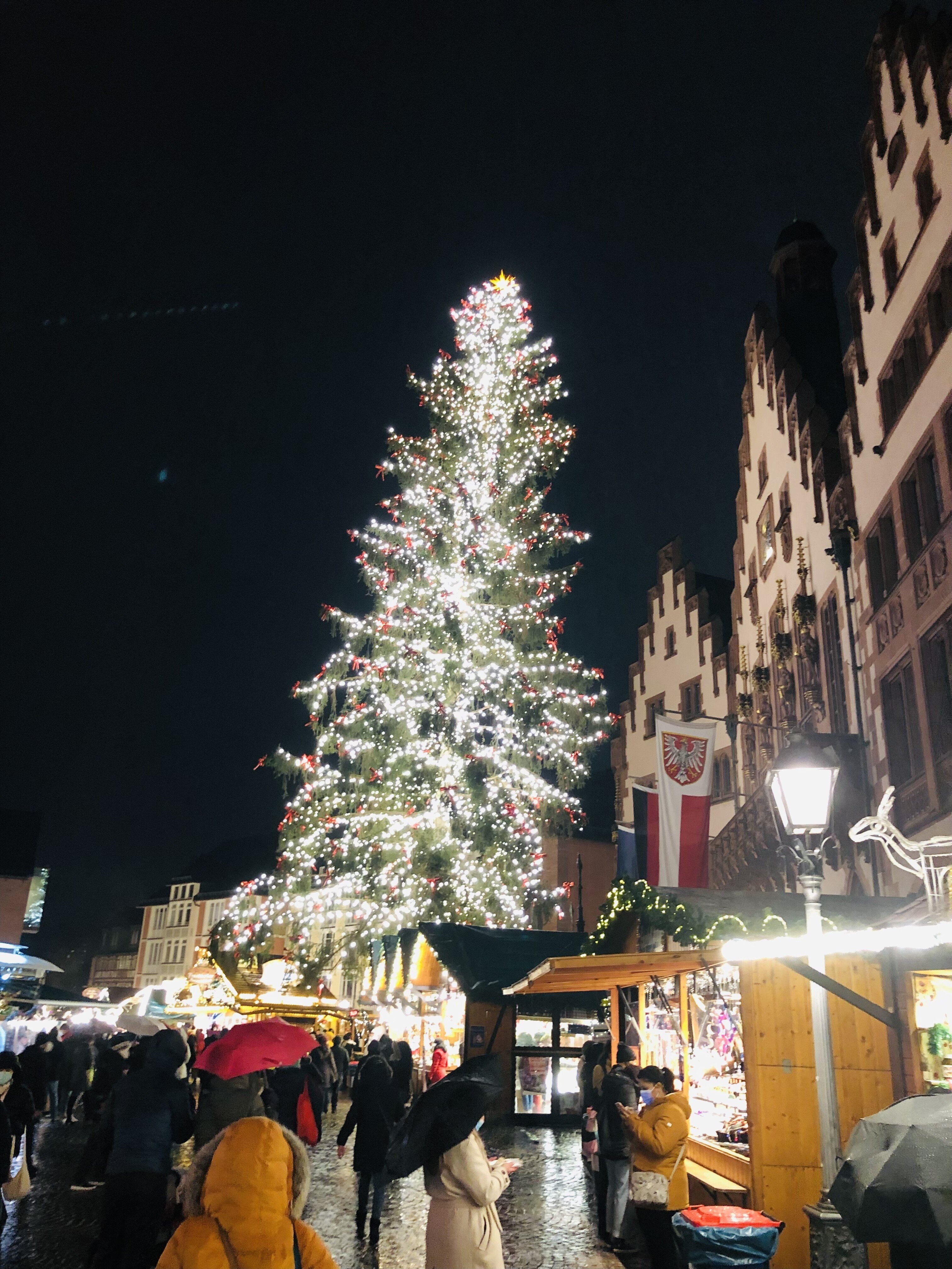 本場ドイツのクリスマスマーケットの美しい風景を写真付きでアップしま