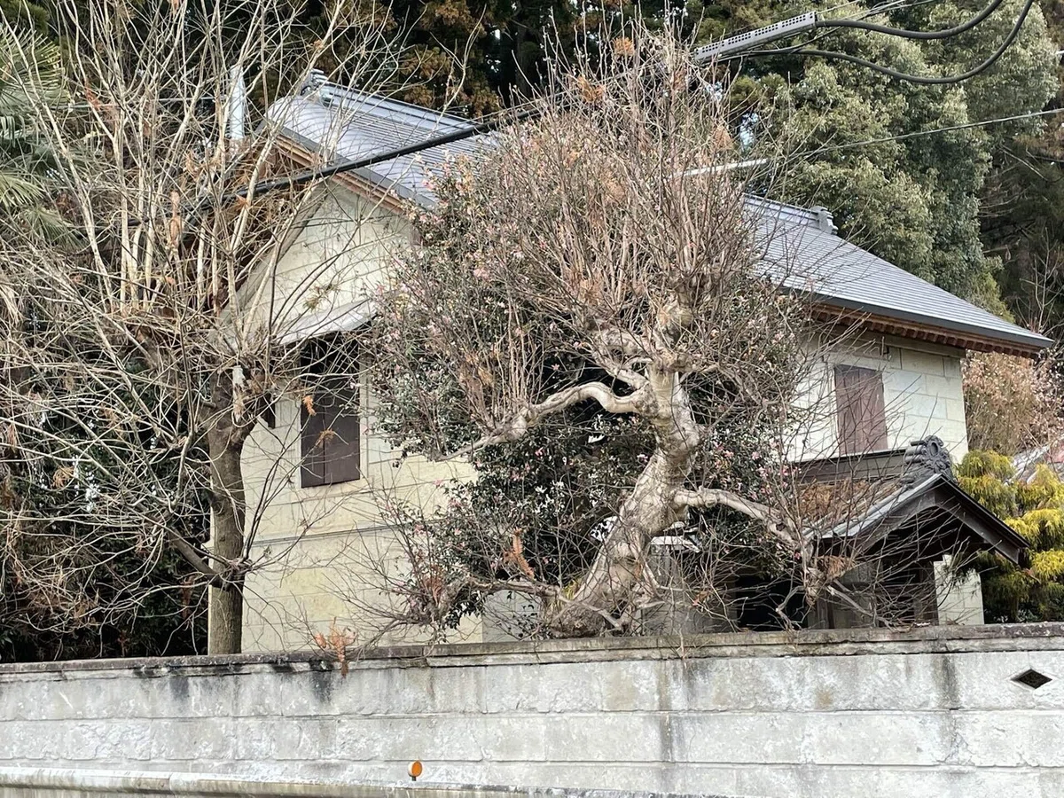 画像152