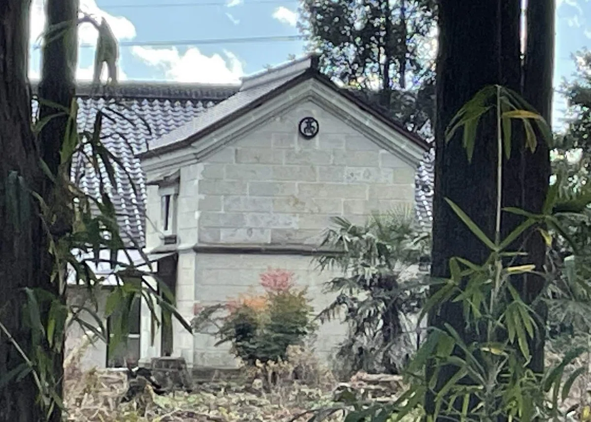 画像156